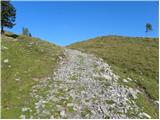 Za Ušivcem - Kapela Marije Snežne (Velika planina)